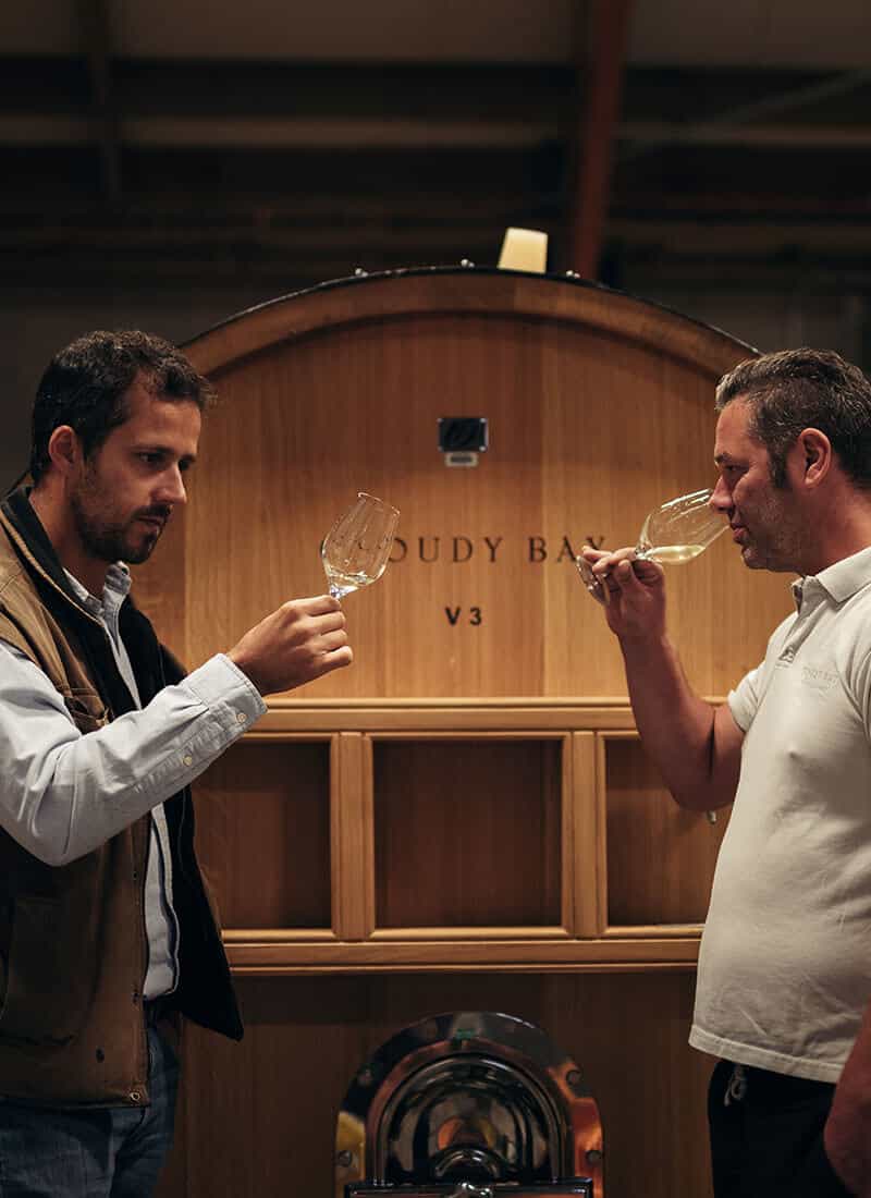 How does Chardonnay 2010 taste?