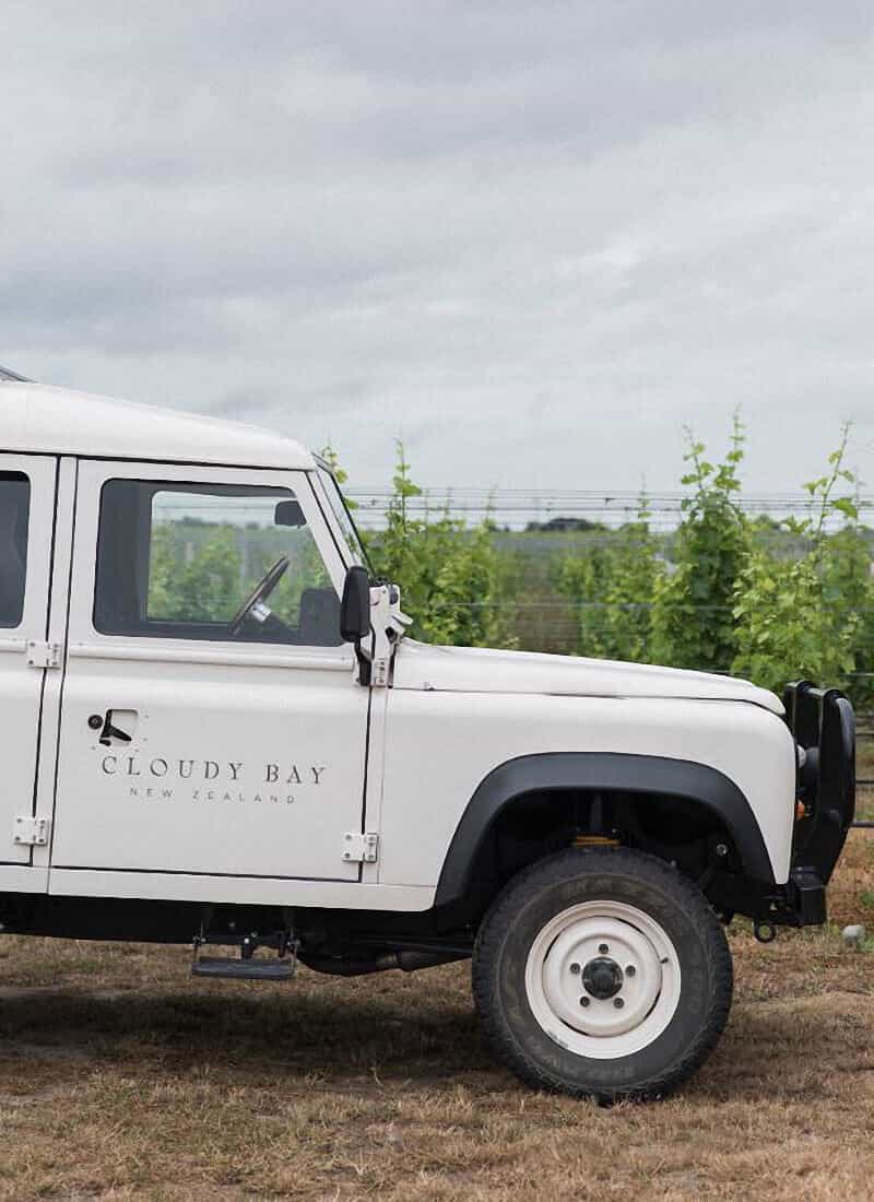 Cloudy Bay - Vineyard Tour by car experience